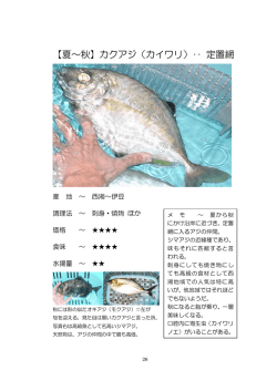 【夏～秋】カクアジ（カイワリ）・・ 定置網