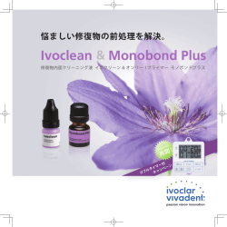 Ivoclean Monobond Plus