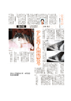 猫の咳 - 富山県獣医師会