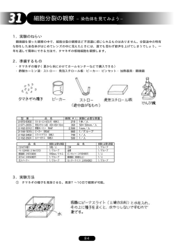 細胞分裂の観察 &minus;染色体を見てみよう&minus;