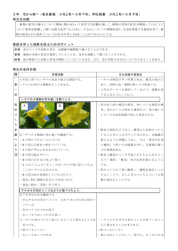 5年 花から実へ（東京書籍：9月上旬～9月下旬、学校図書：9月上旬～9