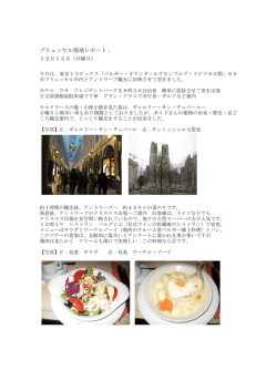 ブリュッセル現地レポート：