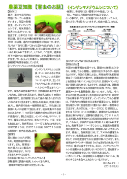 - 1 - 【初めに】 最近、道内で局所的に 問題になっている害虫 がいます