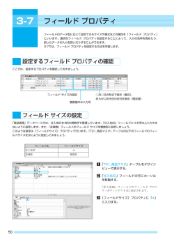 フィールドプロパティ
