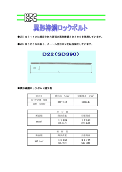 異形棒鋼ロックボルトD22 SD390（PDF:約0.1MB 全2ページ）