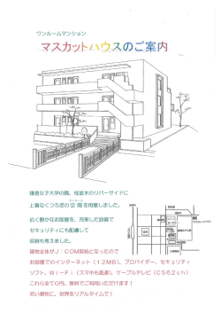 鎌倉女子大学の隣、 桜並木のリバーサイ ドに