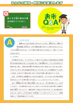 昔と今の稲の害虫対策 法を教えてください。