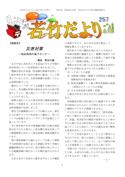 若竹だより 平成27年7月1日号