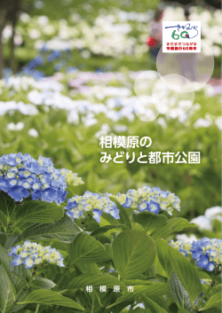相模原の みどりと都市公園 - 相模原市印刷広告協同組合 ｜ 新しい