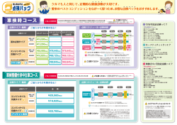 車検整備付き中古車コース