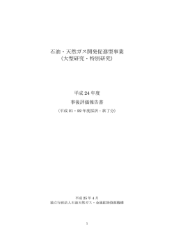 石油・天然ガス開発促進型事業 （大型研究・特別研究）
