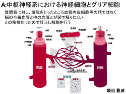 行われていないCA