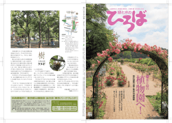 緑と水のひろば 61号（PDF）