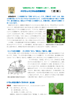 のびたんの三木山自然歳時記 「 芒 種 」