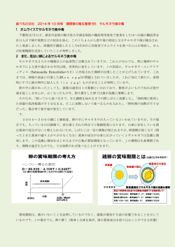 1 オムライスでサルモネラ食中毒 2 まだ、危ない卵によるサルモネラ食中毒