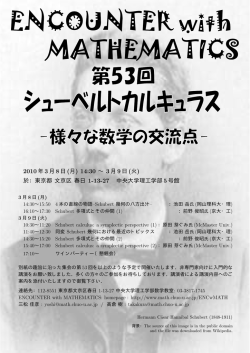 様々な数学の交流点-- 2010年3月8日