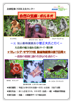 自然の宝庫・ボルネオ