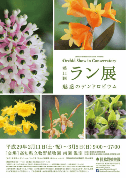 06 - 高知県立牧野植物園