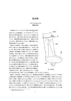 鮭皮靴 - 同志社大学 歴史資料館