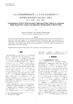 5 cm 径無隔膜衝撃波管による非定常高速噴流中の 球形膜状物体周囲