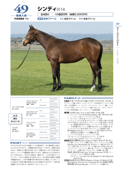 カタログ（924KB）