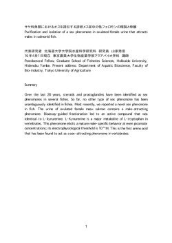 1 サケ科魚類におけるオスを誘引する排卵メス尿中の性フェロモンの精製
