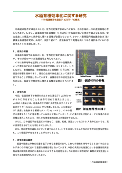 水稲育種効率化に関する研究