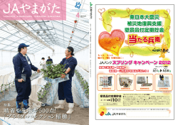 詳細はこちら - JAやまがた