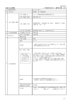 1411110111告示別表