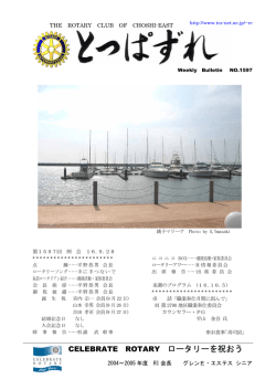 銚子市文化財審議会委員 大木衛氏