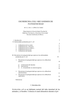 ＜レッドゴールドルチル（紅金針水晶）＞一連ブレスレット 玉径17mm