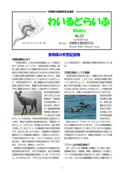 わいるどらいふ - 宮崎野生動物研究会