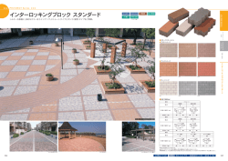 インターロッキングブロック スタンダード
