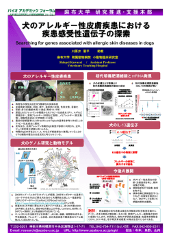 犬のアレルギー性皮膚疾患における疾患感受性遺伝子の探索