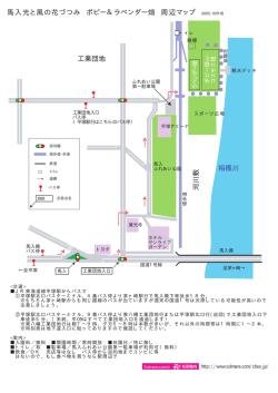相模川 工業団地 河川敷 馬入光と風の花づつみ ポピー＆ラベンダー畑