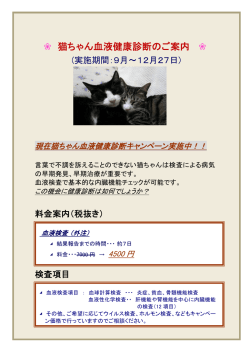 猫ちゃん血液健康診断のご案内