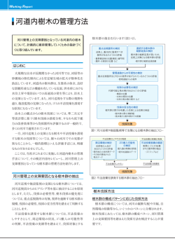 河道内樹木の管理方法(いであ i-net vol.16_2007.7)