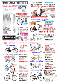 PDFファイル
