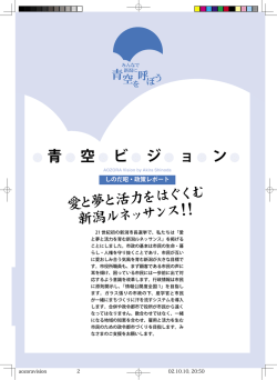 青 空 ビ ジ ョ ン 愛と夢と活力をは ぐくむ 新潟ルネ ッサンス