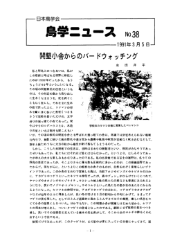 開墾小舎からのバー ドウォッチンク