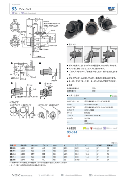 93 プッシュロック