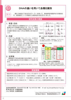 DNAの違いを用いて品種を識別