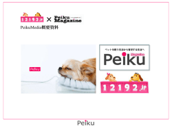 Peikuメディア会員概要資料（PDF:419KB）