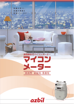 マイコンメーター【NS型】