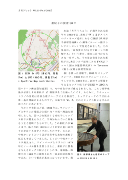 素粒子の探索 30 年