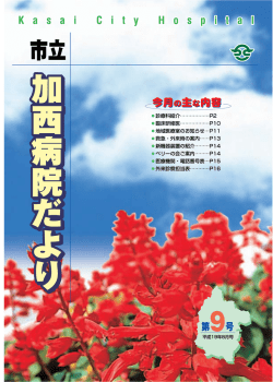 PDF形式
