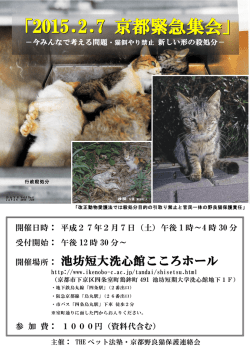 京都市・野良猫餌やり禁止条例と野良猫保護