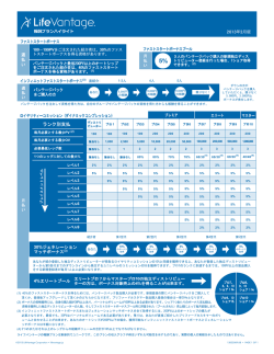 13022009.08_Japan Compensation Plan Highlights copy