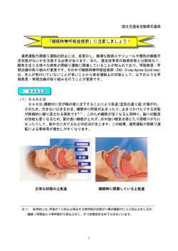 国土交通省SAS対応マニュアル（PDF）