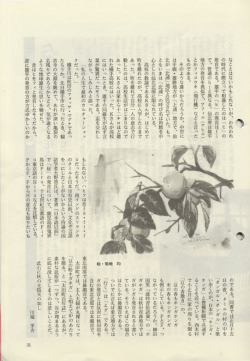 PDFファイルを表示